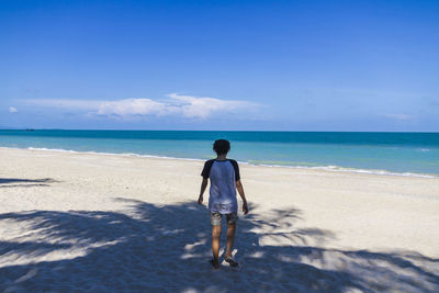 Rear view of man on beach against sky