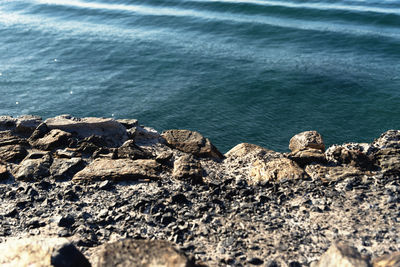 High angle view of rocks on beach