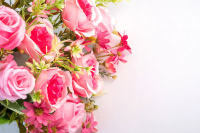 Close-up of pink roses against white background