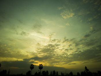 Low angle view of silhouette trees against sky during sunset