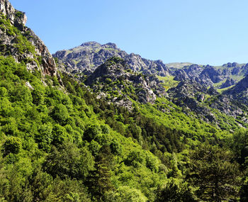 Scenic view of mountains against clear sky