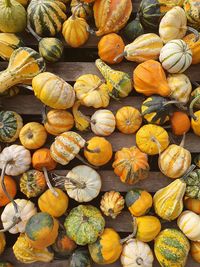 Full frame shot of pumpkins