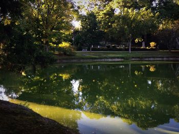 View of trees in park