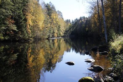 Reflection of trees in lake against sky in forest