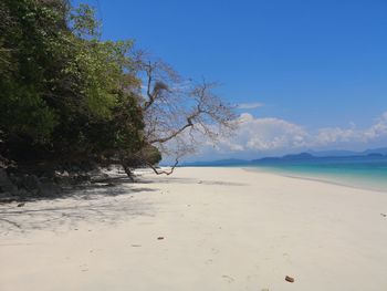 Scenic view of beach against clear blue sky