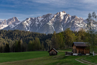 Austrian alps in summer