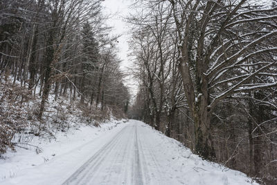 Snow covered road amidst trees during winter