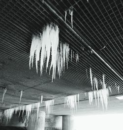 Low angle view of icicles hanging from ceiling of building