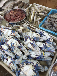 High angle view of fish for sale at market