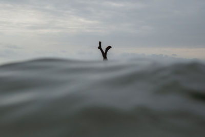 Silhouette of two feet diving in the sea