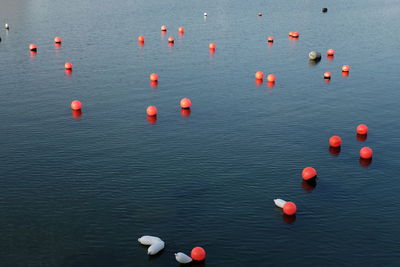 High angle view of balloons floating on sea