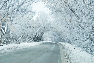 Snow covered road amidst trees during winter