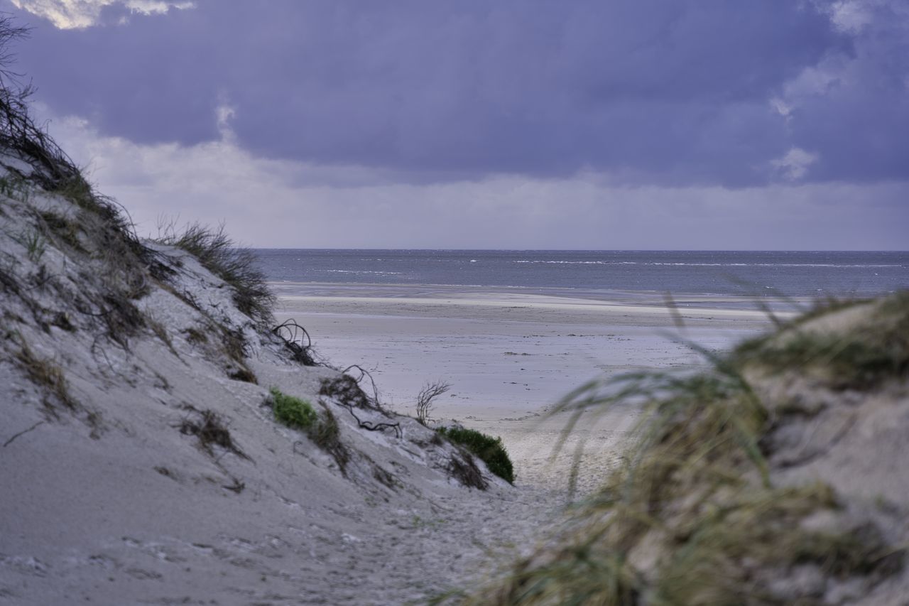 PANORAMIC VIEW OF BEACH AGAINST SKY