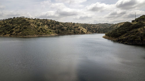 Scenic view of river amidst trees in forest against sky