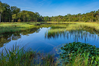 Scenic view of lake against blue sky