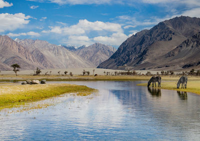 Scenic view of lake by mountains against sky