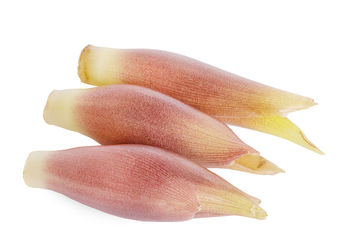 Close-up of cake against white background