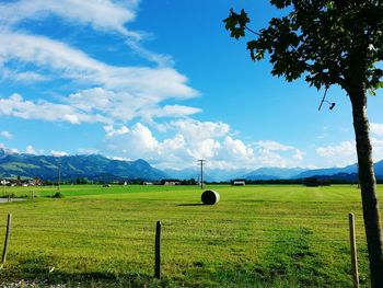 Scenic view of agricultural field against sky