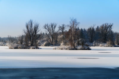 Trees on snow covered landscape against clear sky