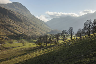 Scenic view of landscape and mountains against sky