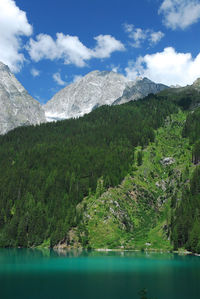 Scenic view of lake by trees against sky