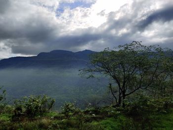 Scenic view of landscape against sky