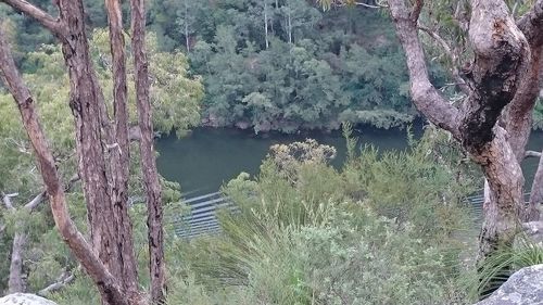 Scenic view of lake in forest