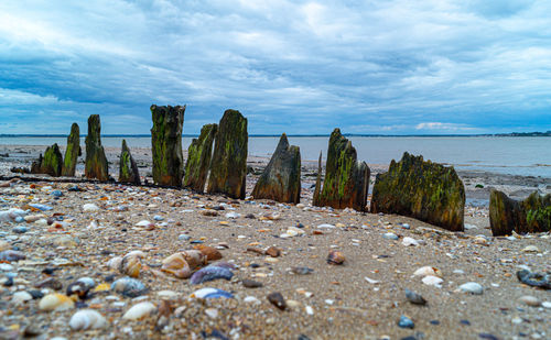 Old ship beams in sand on beach ship wreck