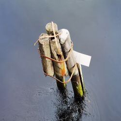 water