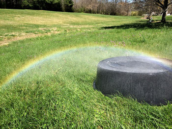 Scenic view of grassy field