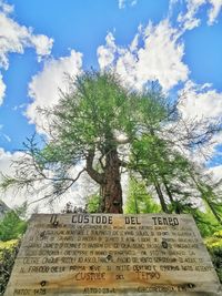 Low angle view of information sign on tree against sky