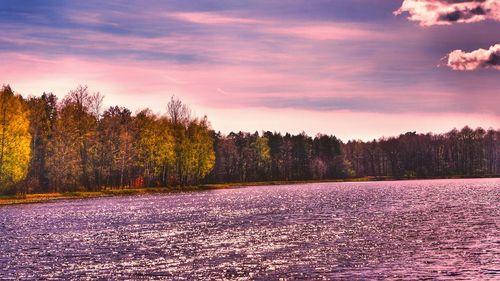 Scenic view of forest against sky during sunset