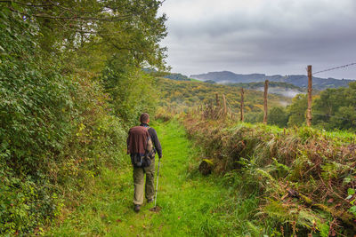 Rear view of tourist in countryside. man with backpack and walking sticks on field.