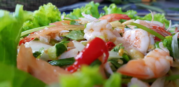 Close-up of meal served in plate