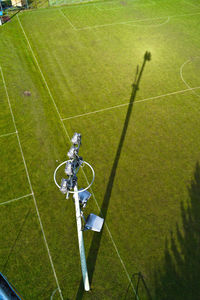 Trees on field