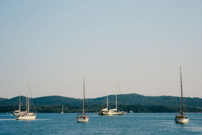 Sailboats sailing in sea against clear sky