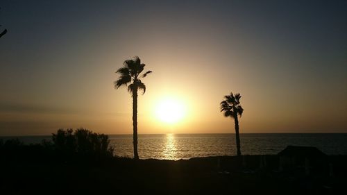 Silhouette palm trees on beach against sky at sunset