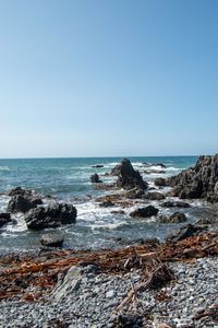 Scenic view of sea against clear sky