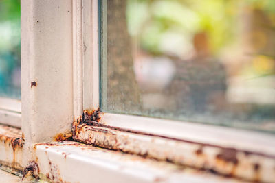 Close-up of rusty metal window