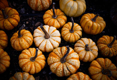 Full frame shot of pumpkins for sale