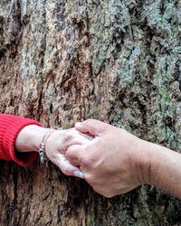 Close-up of hands holding tree trunk