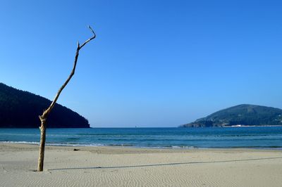 Scenic view of sea against clear blue sky