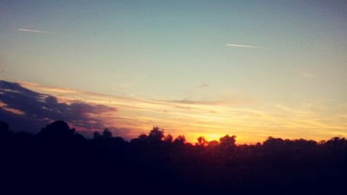 Silhouette of trees at sunset