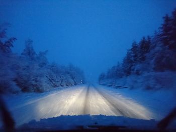 Road passing through forest