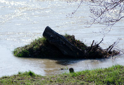 Scenic view of river