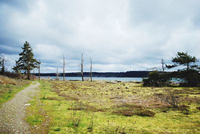 Scenic view of grass and trees against sky