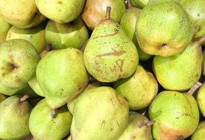 Close-up of pears on the market