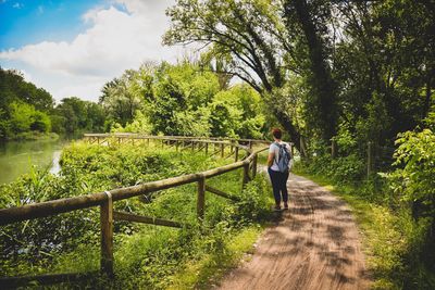 Rear view of woman walking by plants