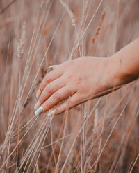 Midsection of woman touching plant on field