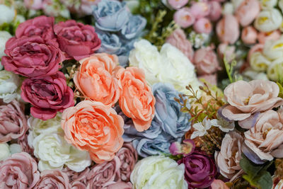 Close-up of pink roses